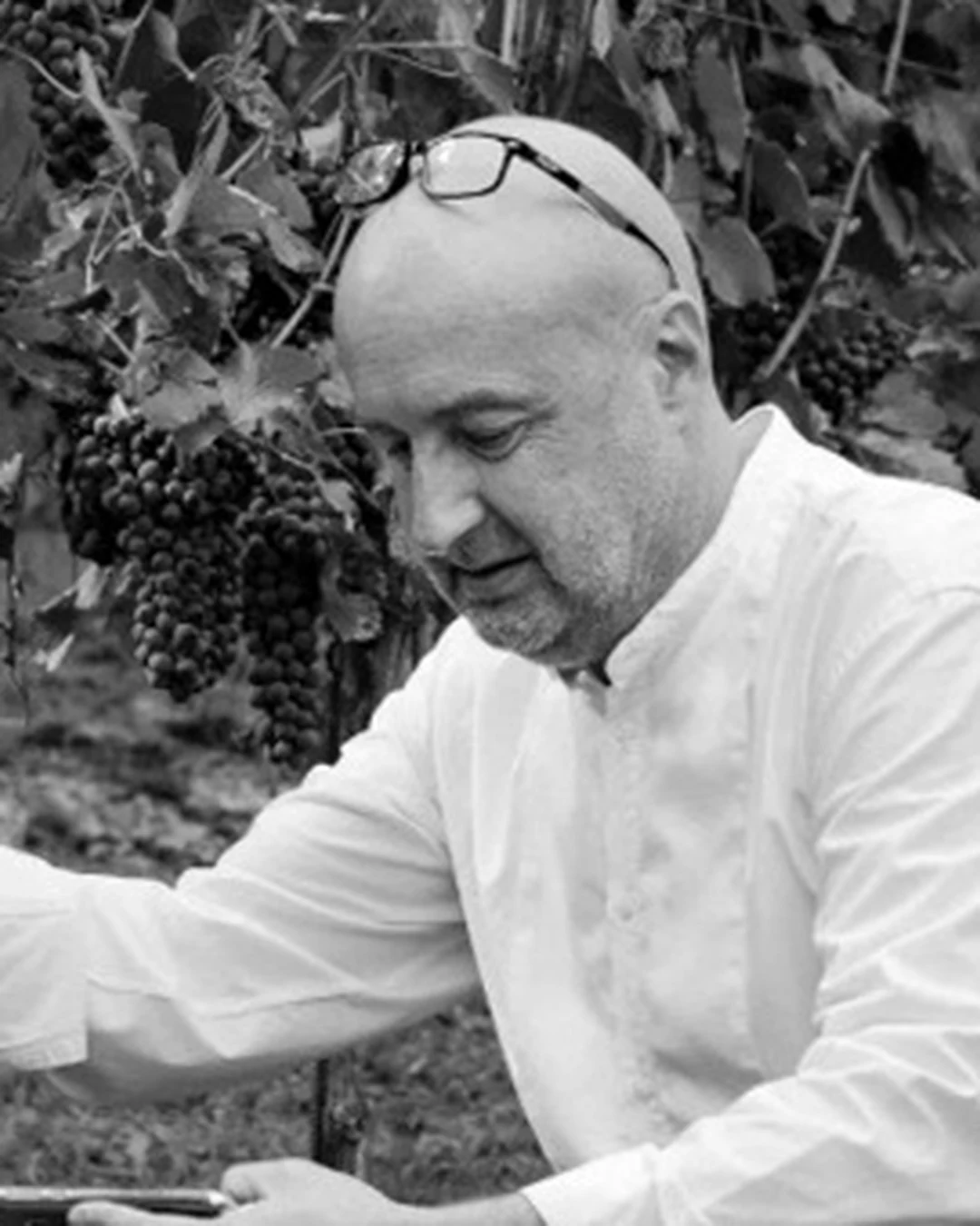 Portrait of Enrico Orlando