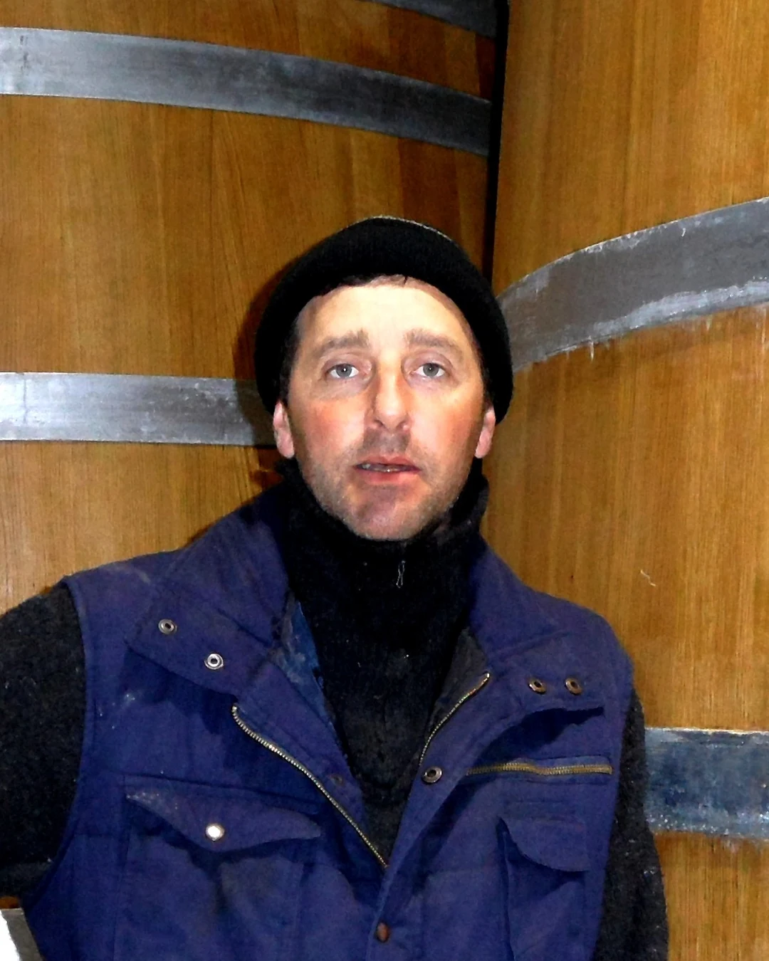 Portrait of Vincent Gaudry