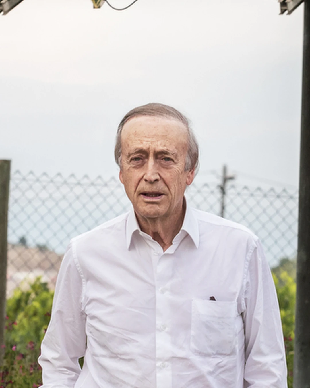 Portrait of Miguel A. Torres