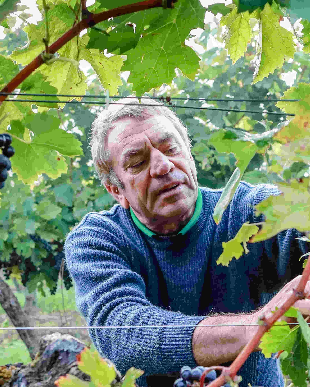 Portrait of Patrick Carteyron
