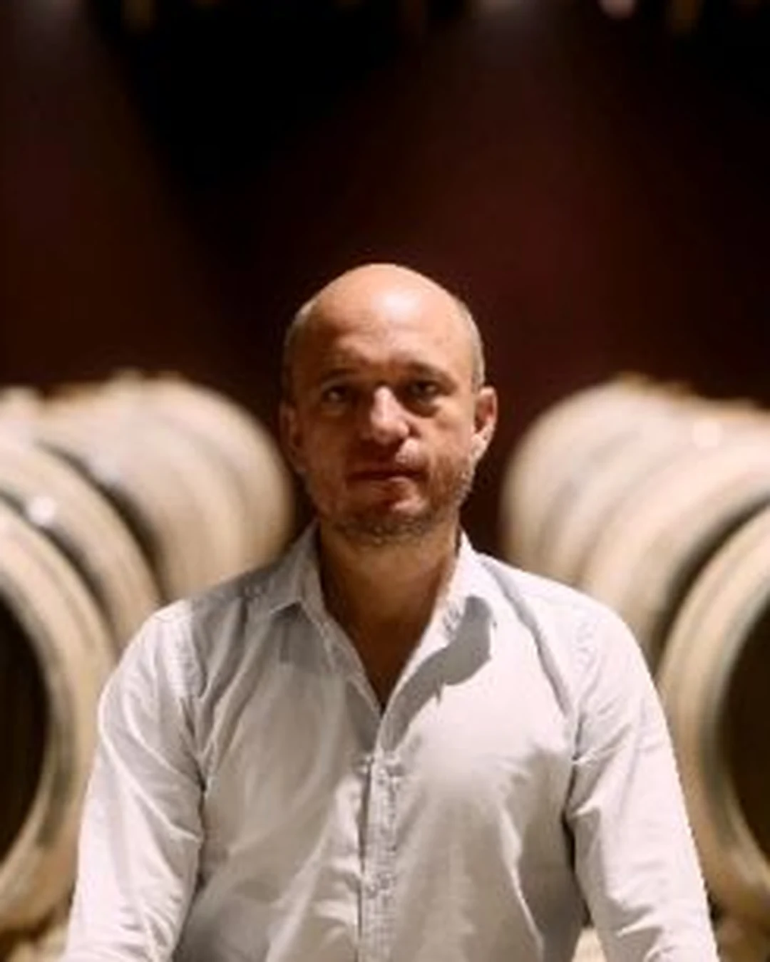 Portrait of Romain Ducolomb