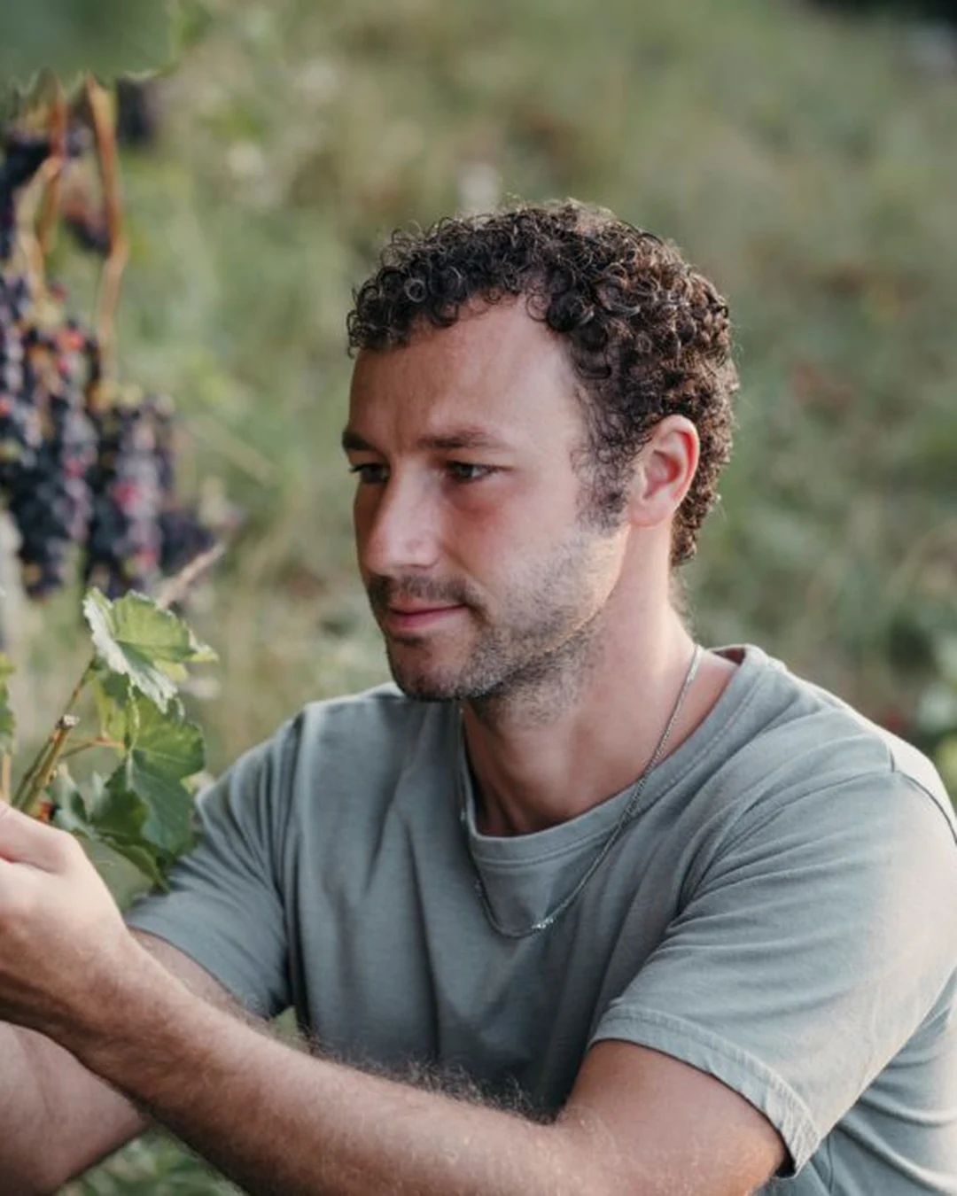 Portrait of Fabio Zanini