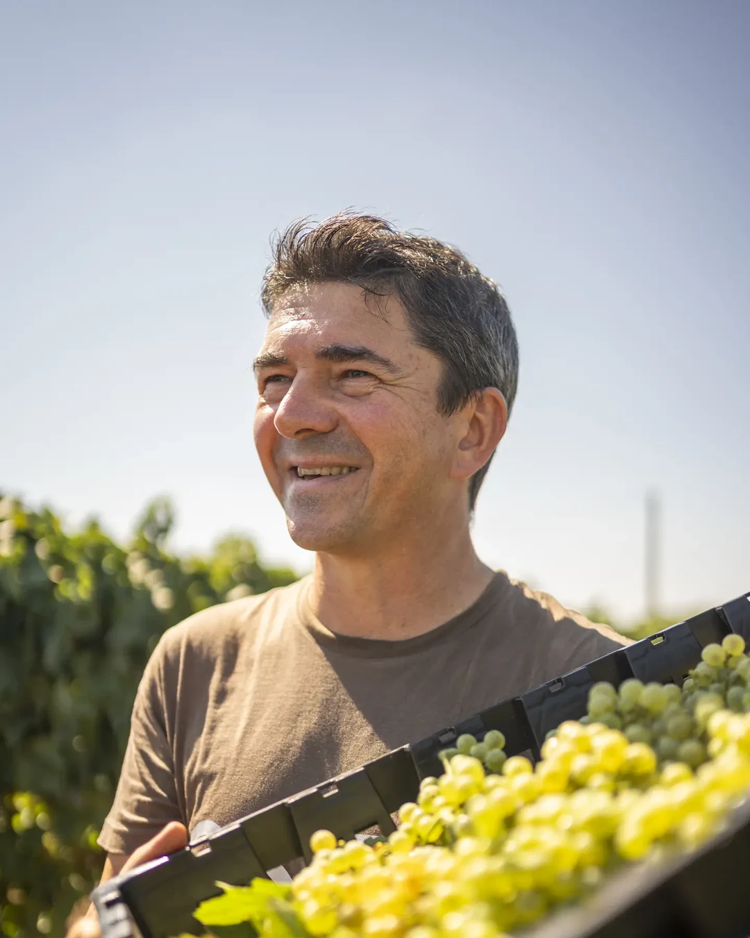 Portrait of Gianni Cantele