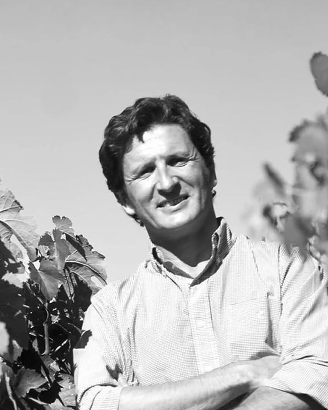 Portrait of Rafael Palacios