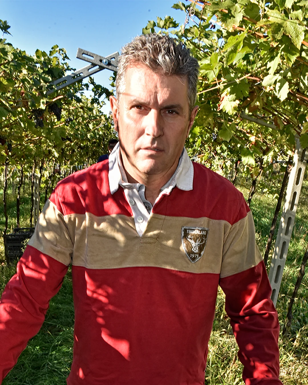 Portrait of Aldo Degani