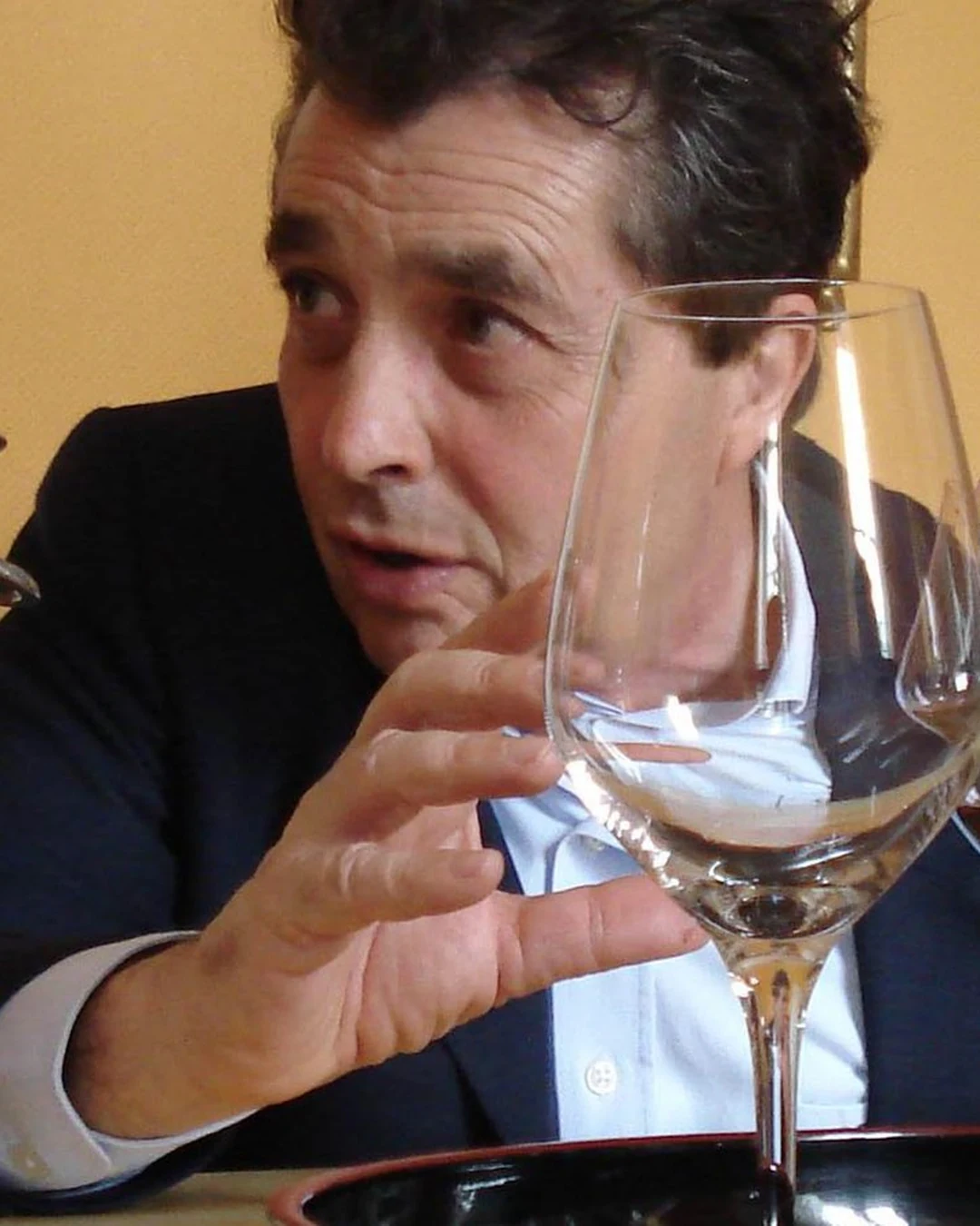 Portrait of Denis Dubourdieu