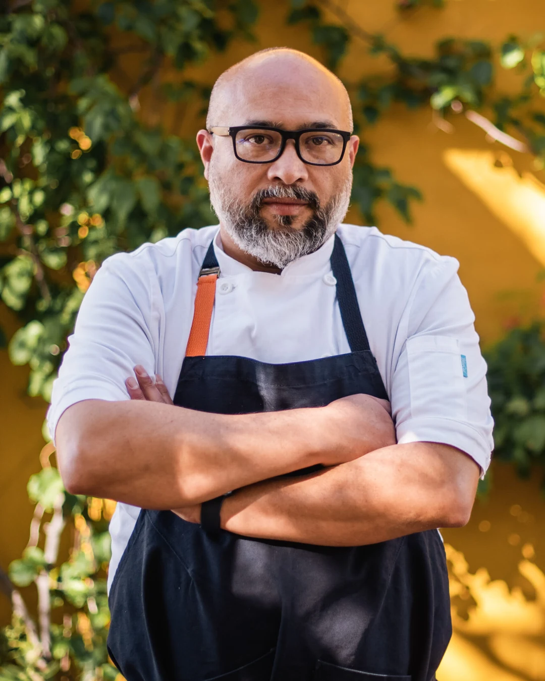 Portrait of Gilberto Centina