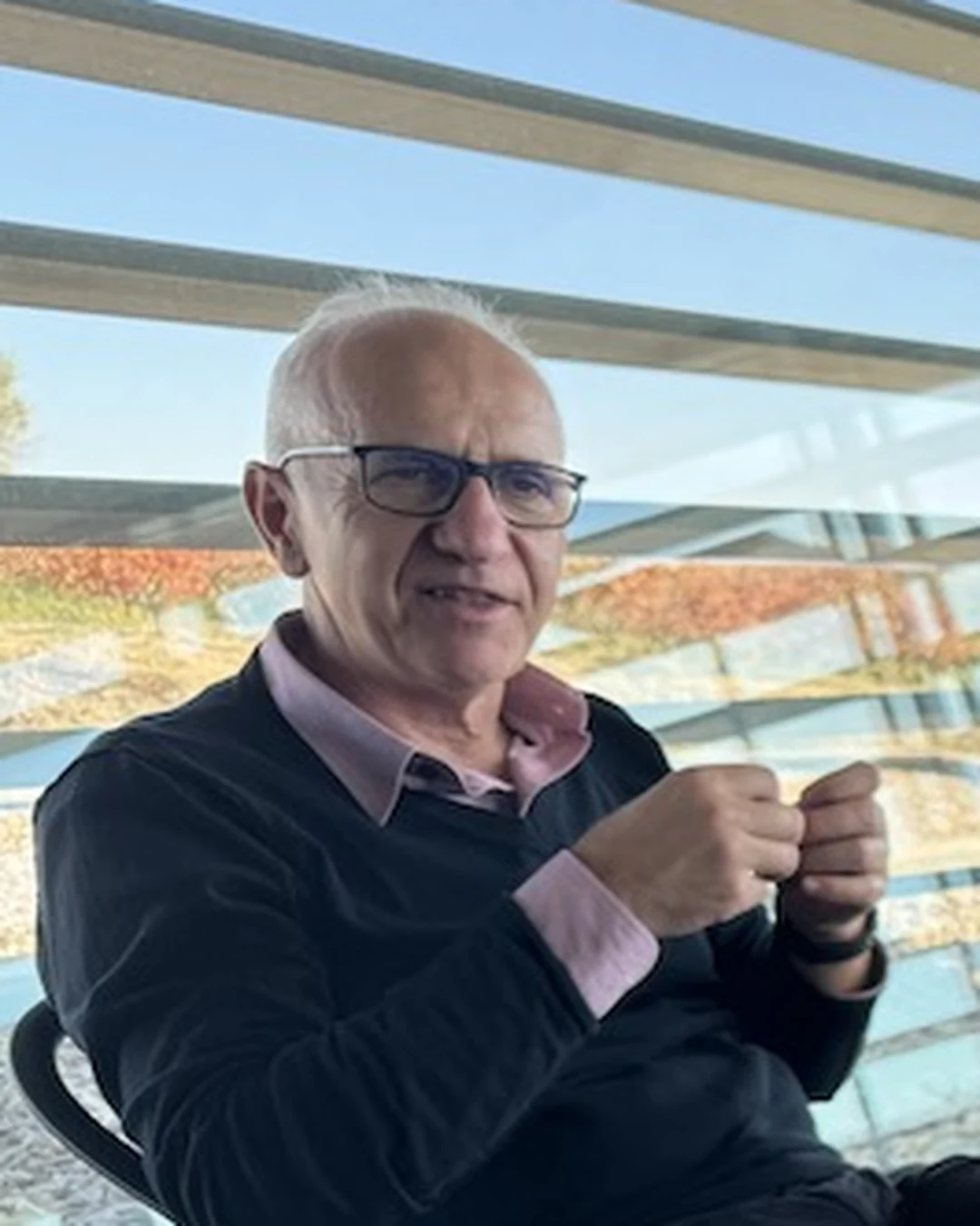 Portrait of Pedro Aíbar