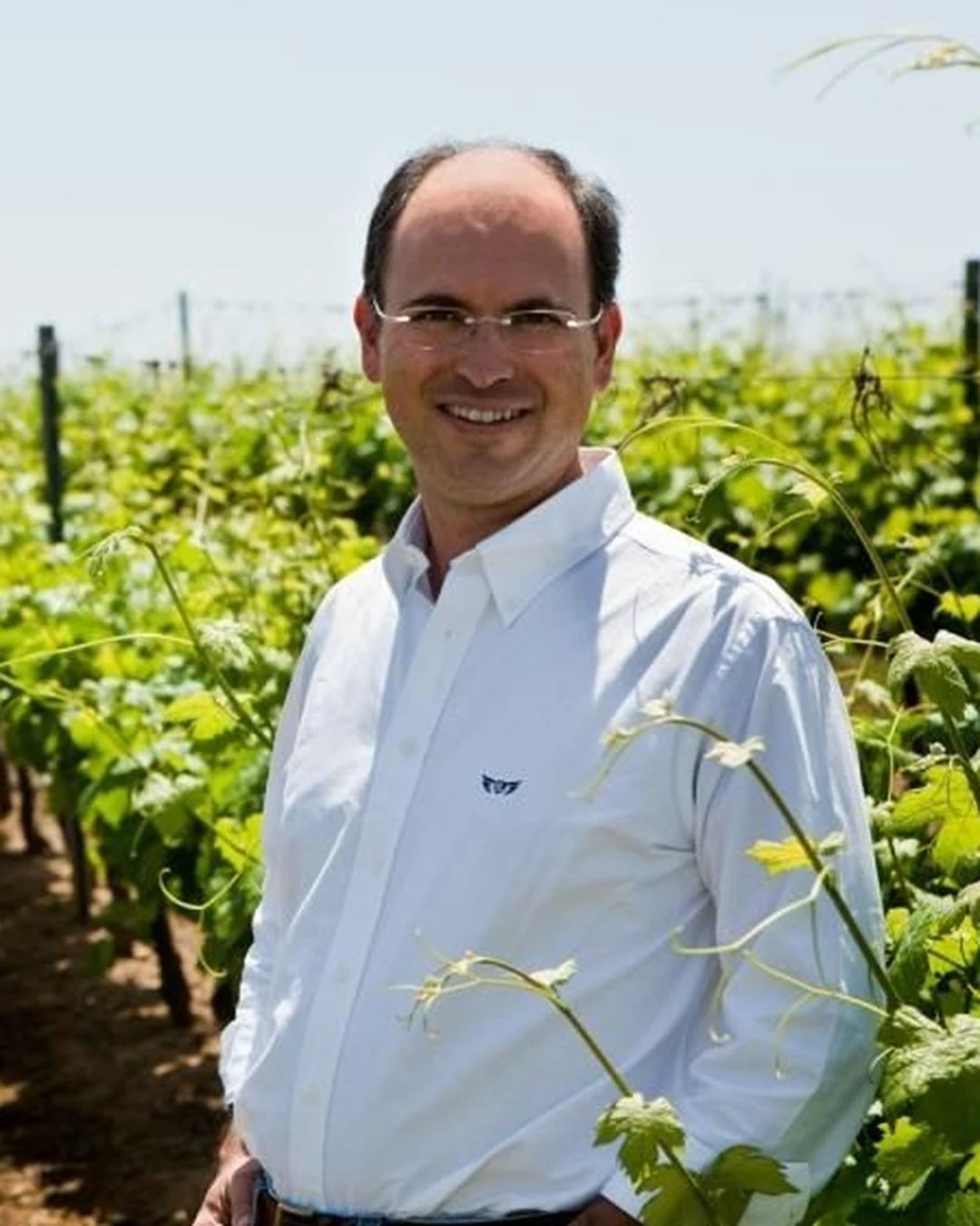 Portrait of Pedro Baptista