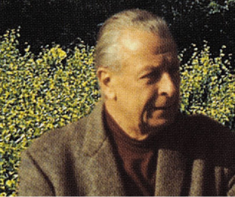 Portrait of Brice de la Morandière