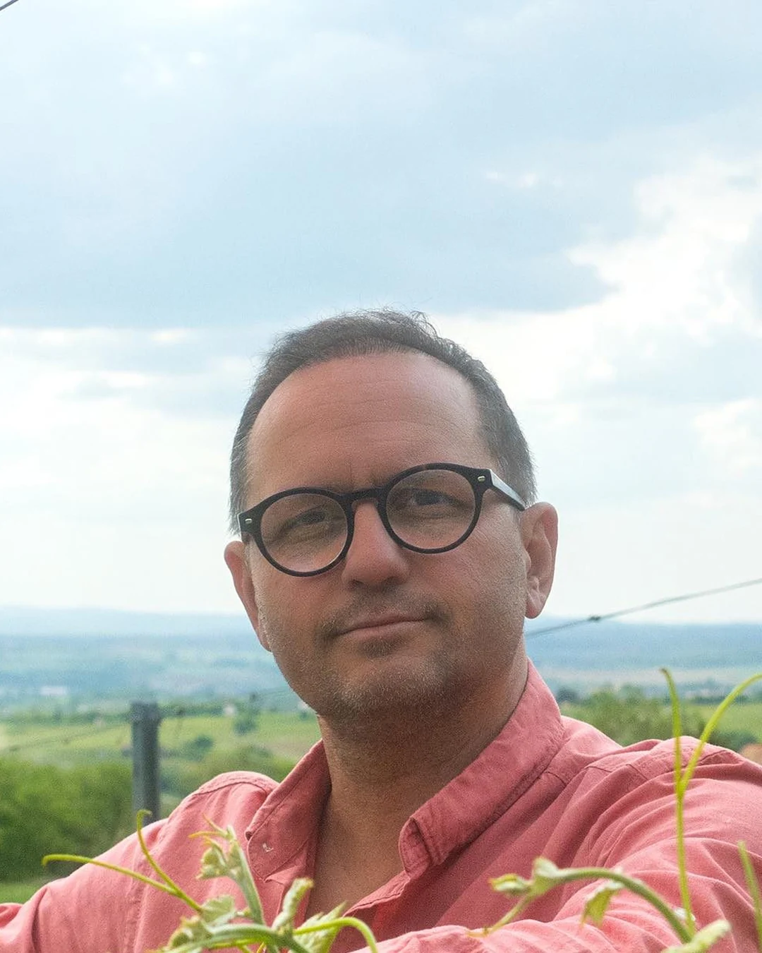 Portrait of Miklós Csaba