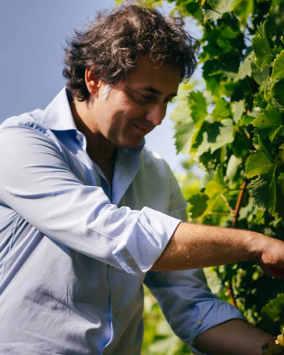 Portrait of Maurizio Marino