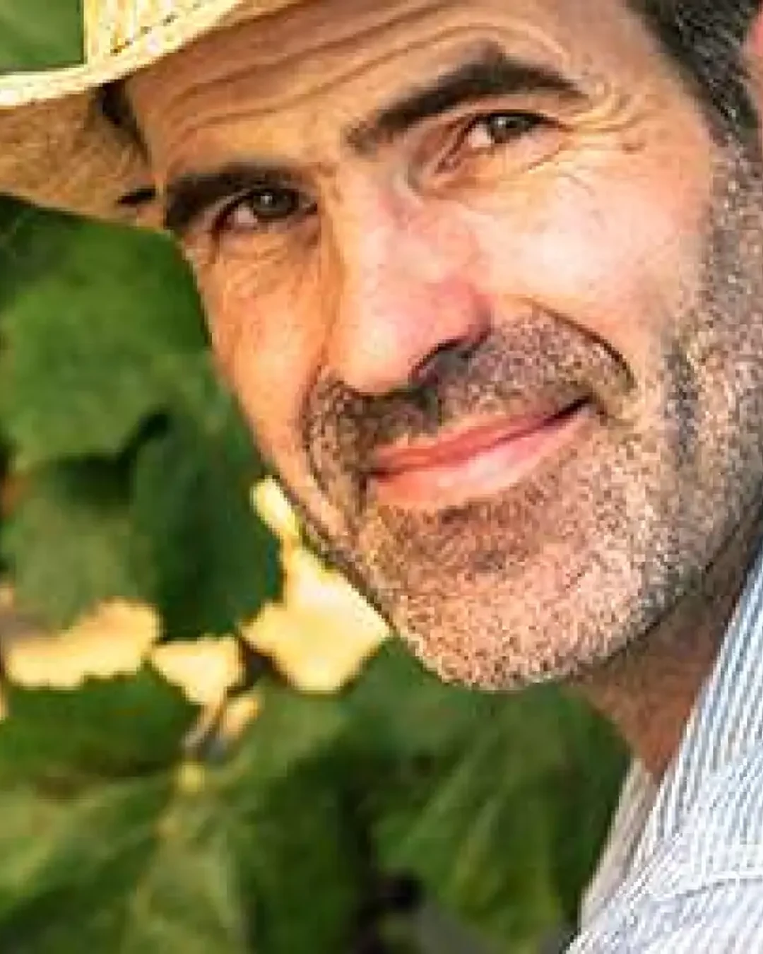 Portrait of Ryan Hodgins