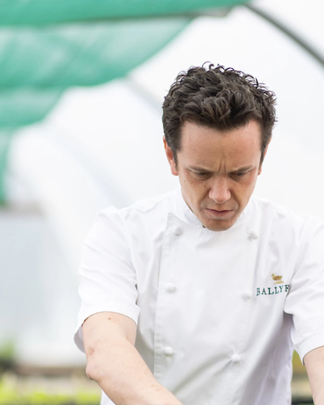Portrait of Chef Richard Picard-Edwards