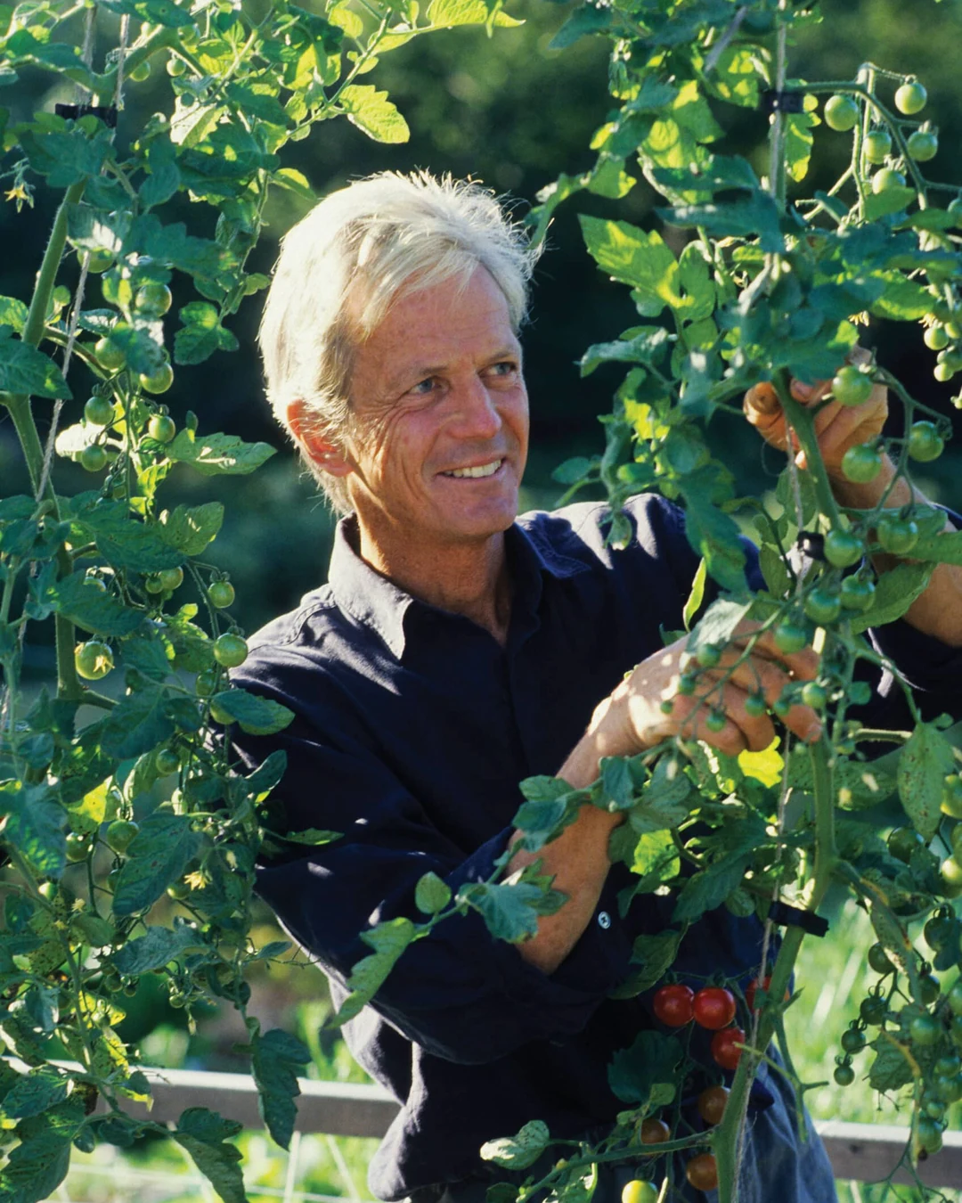 Portrait of Eliot Coleman