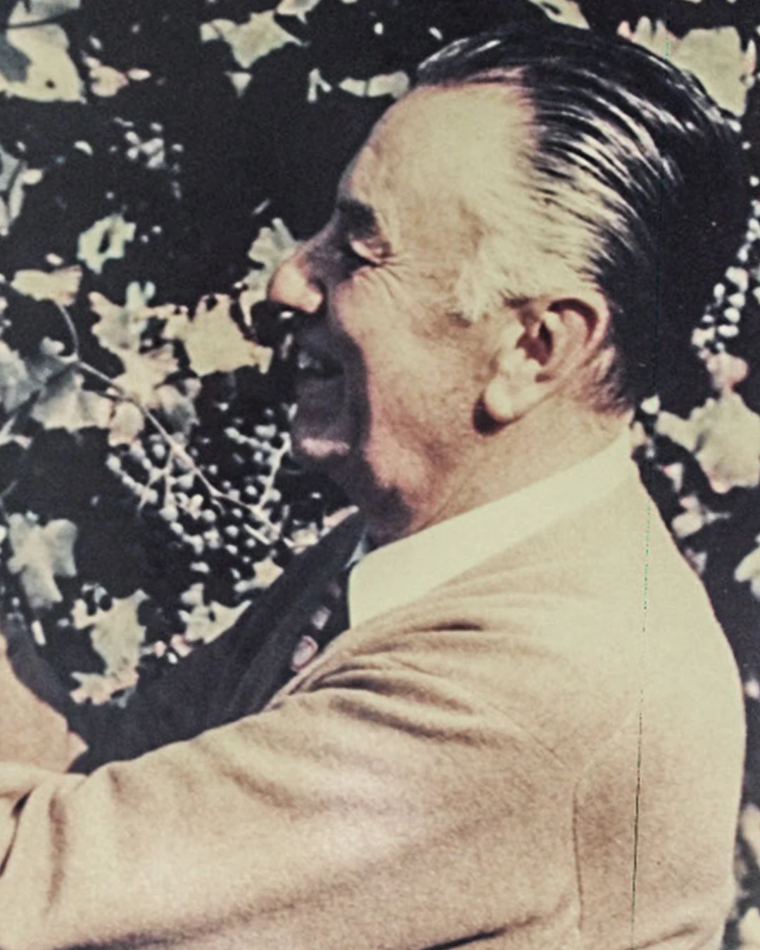 Portrait of Alberto Pezzuoli
