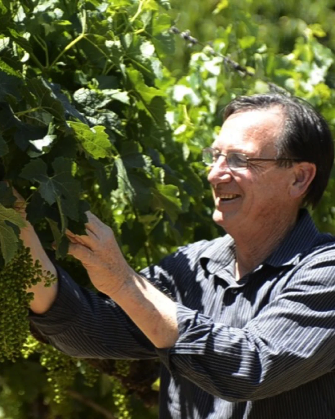 Portrait of Dennis Hill