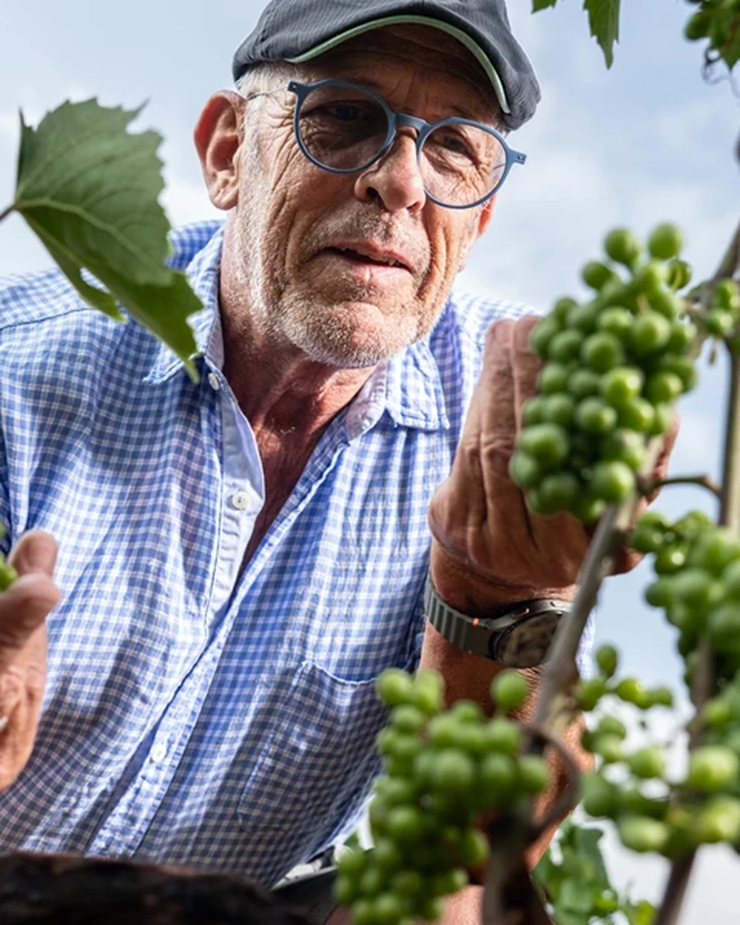 Portrait of Dominique Aymon