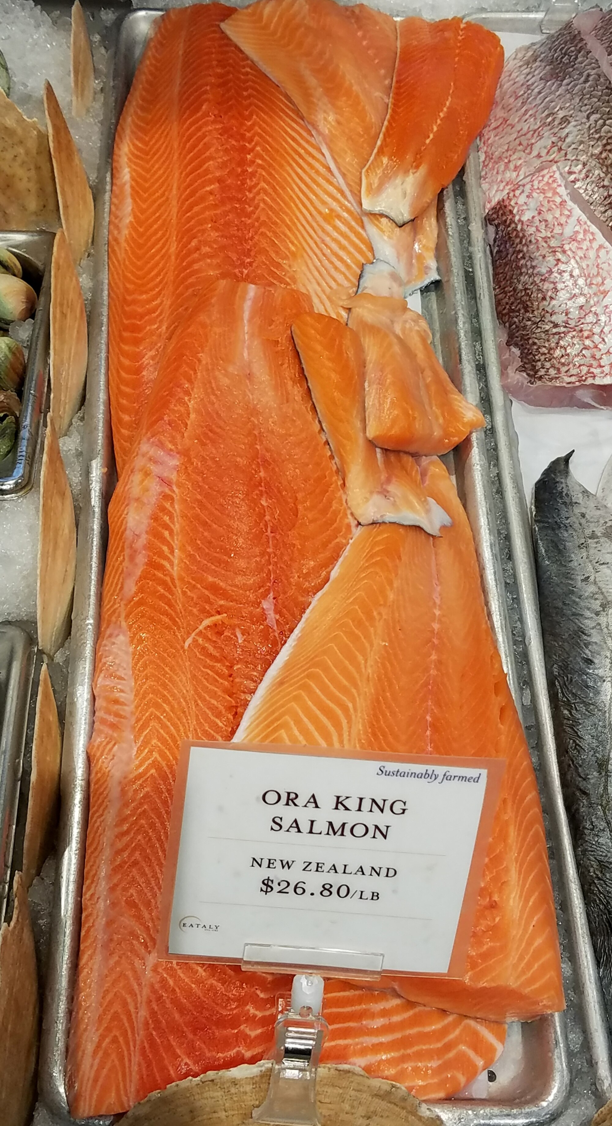Ōra King salmon from New Zealand