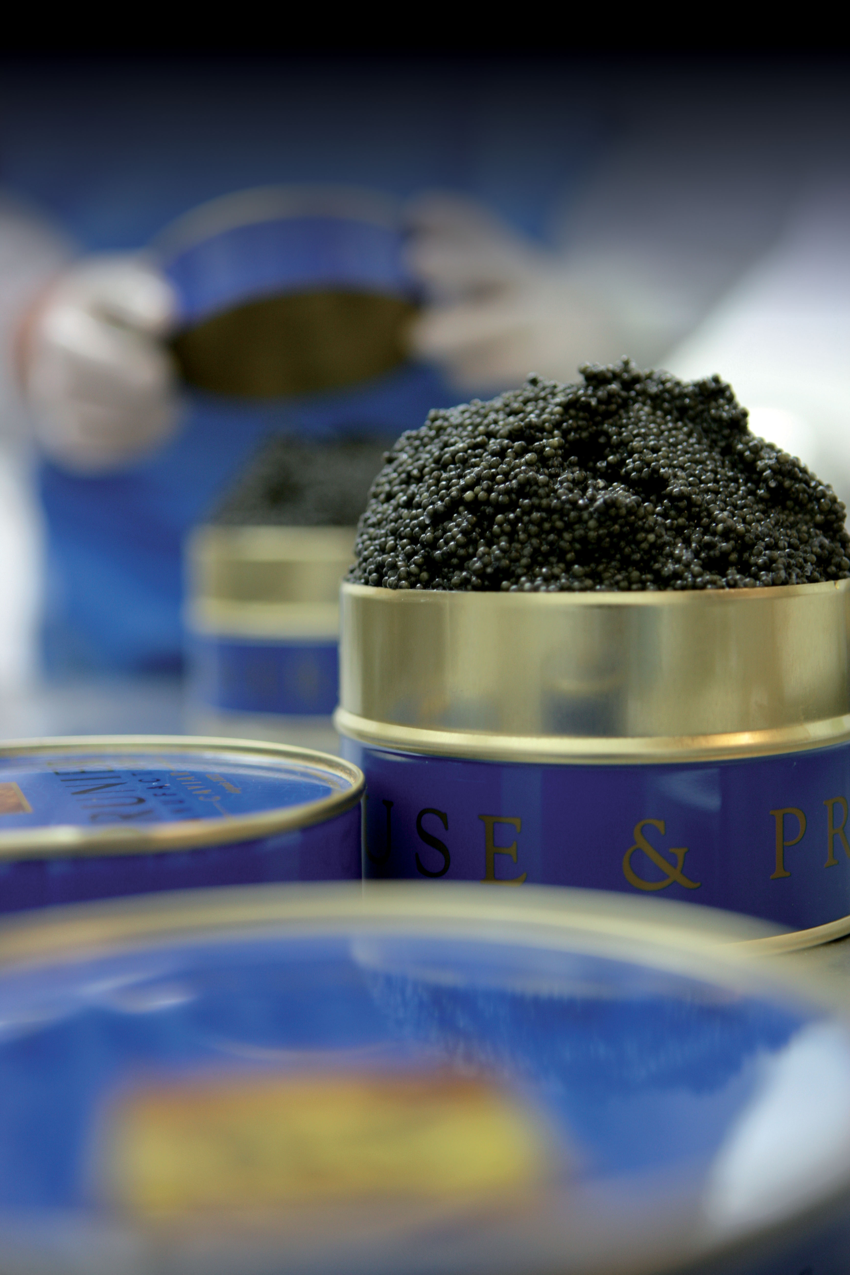The Prunier caviar manufacture in Aquitaine, France