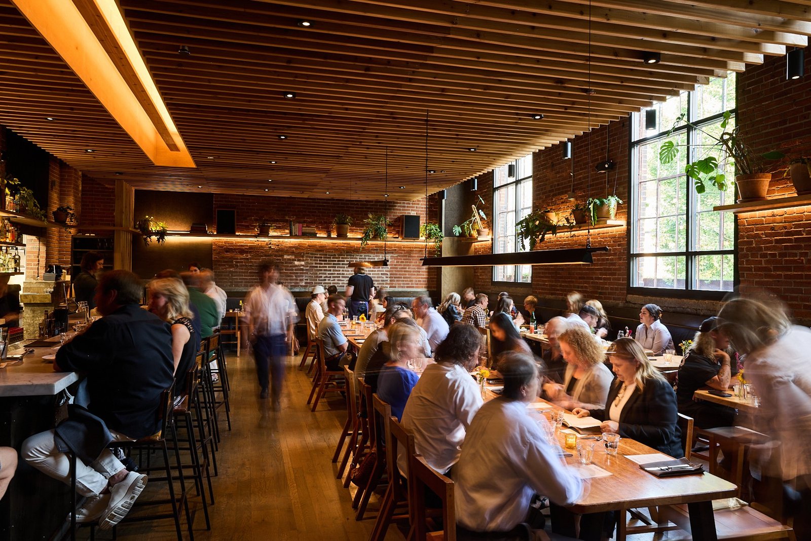 Rolf & Daughters (restaurant)