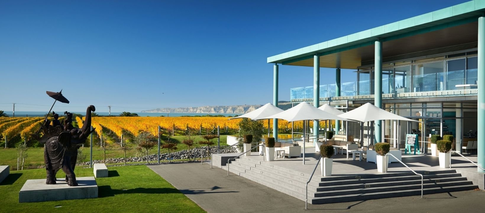 Elephant Hill (winery)