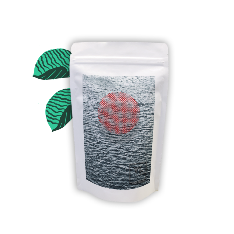 Volca Coffee Roaster