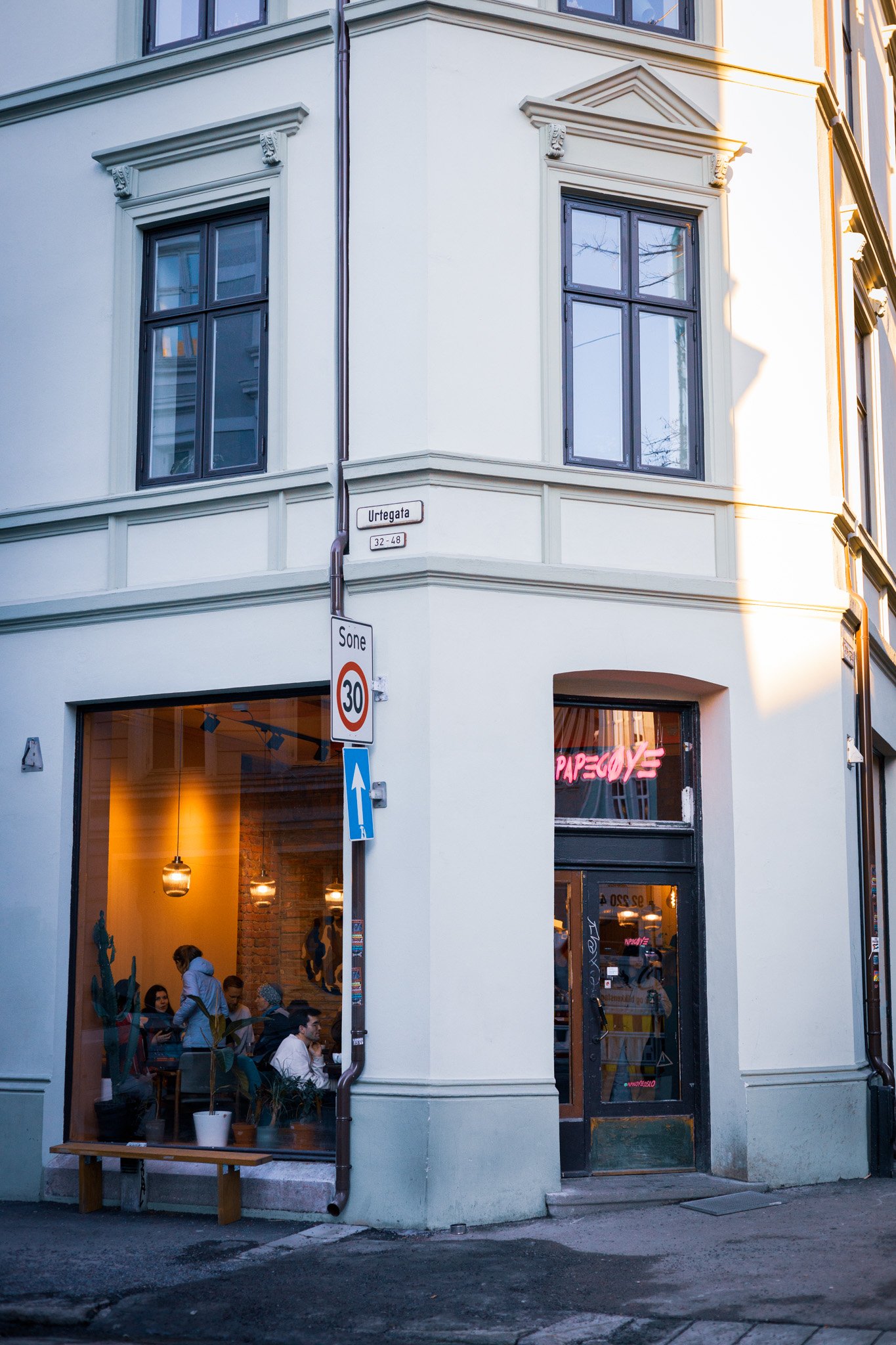 Papegøye