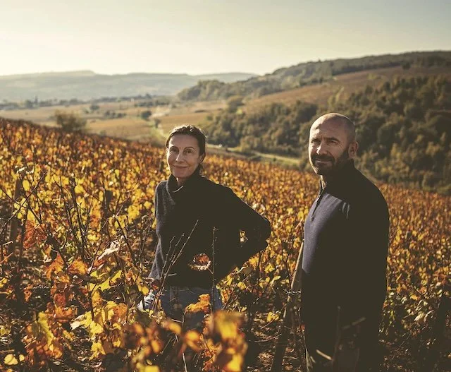 Domaine Marc Colin
