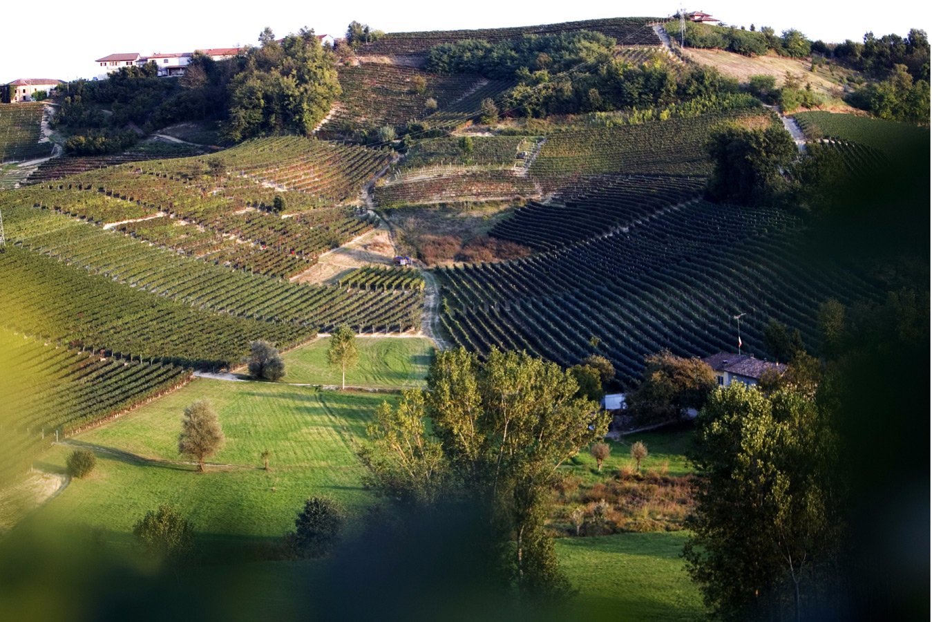 Agostino Pavia & Figli
