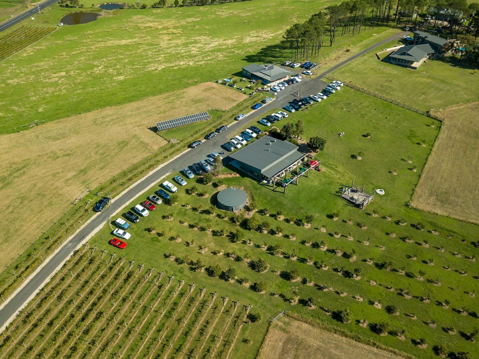 Mountain Ridge Winery