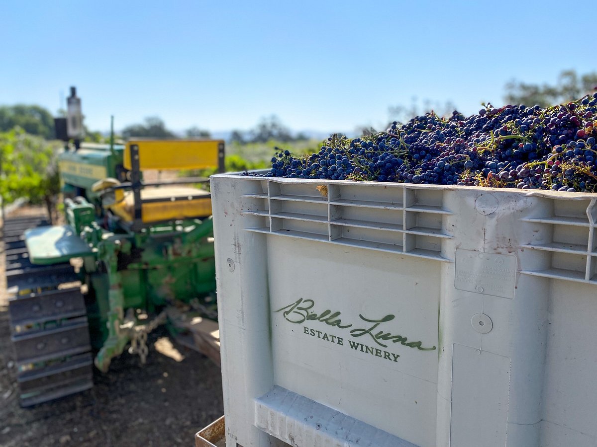 Bella Luna Estate Winery — Templeton (winery)