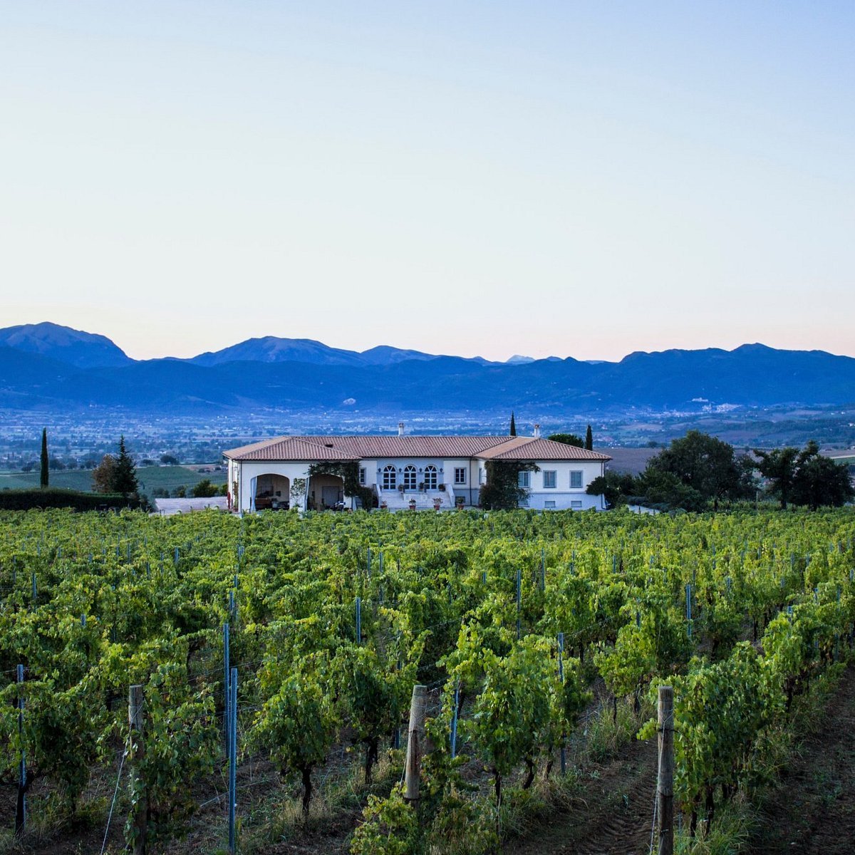 Tenuta Brancalupo