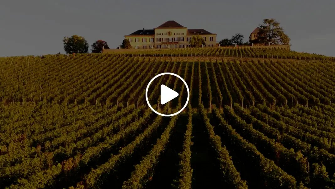 Fürst von Metternich-Winneburg’sche Domäne Schloss Johannisberg