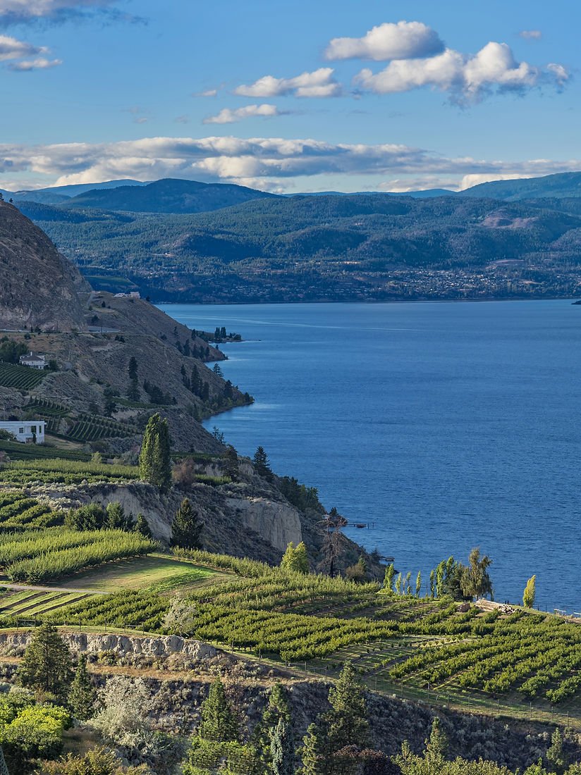 Summerland Winery — Summerland (winery)