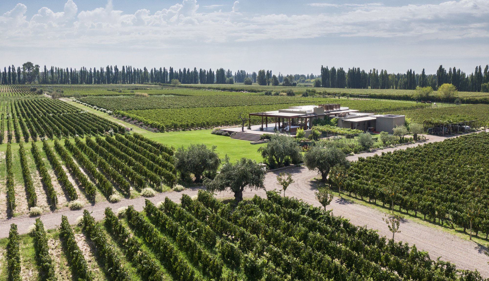 Cheval des Andes (Cheval Blanc & Terrazas de los Andes)