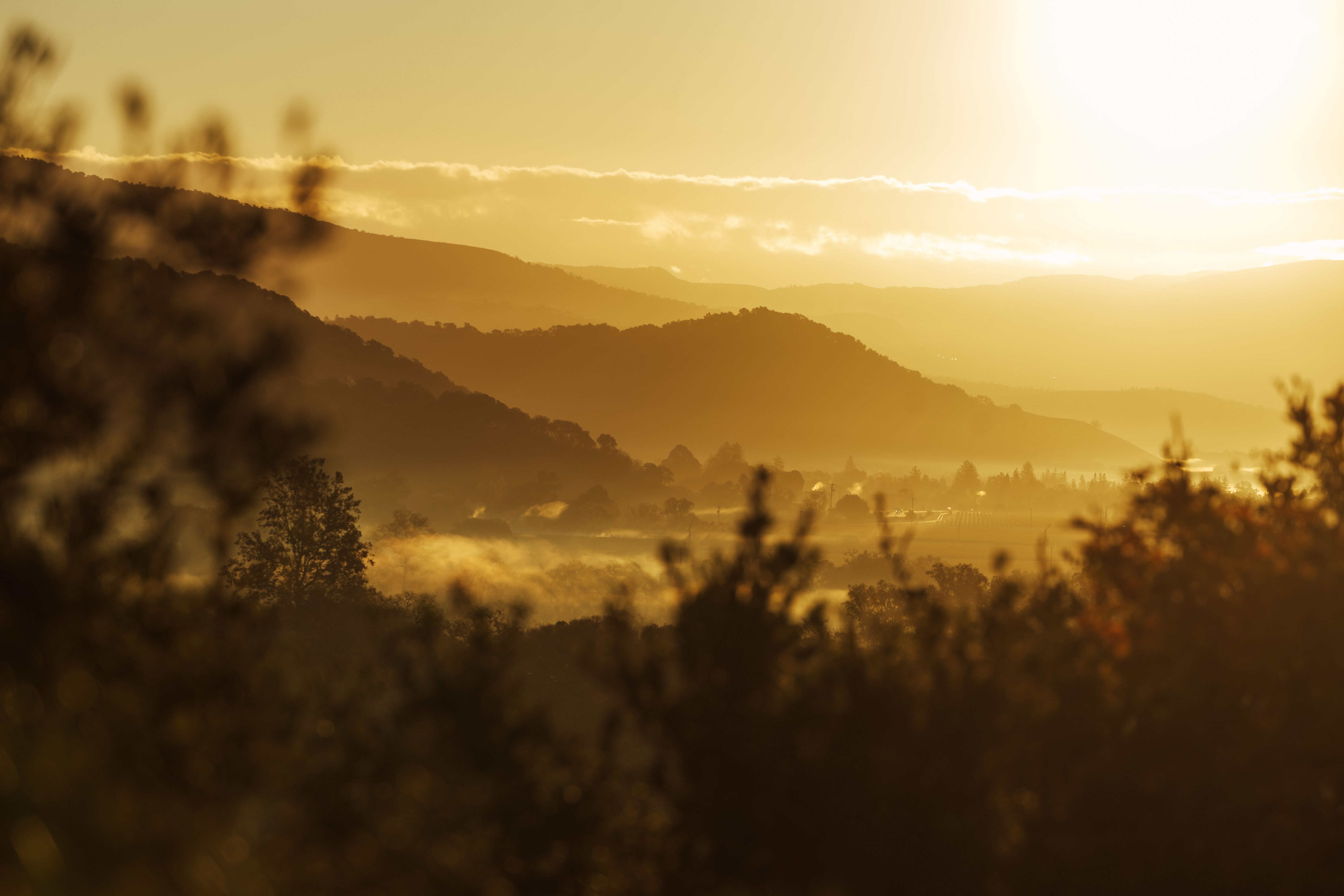 Golden sunrise over the Oakville hills during The Mascot Dawn Patrol experience