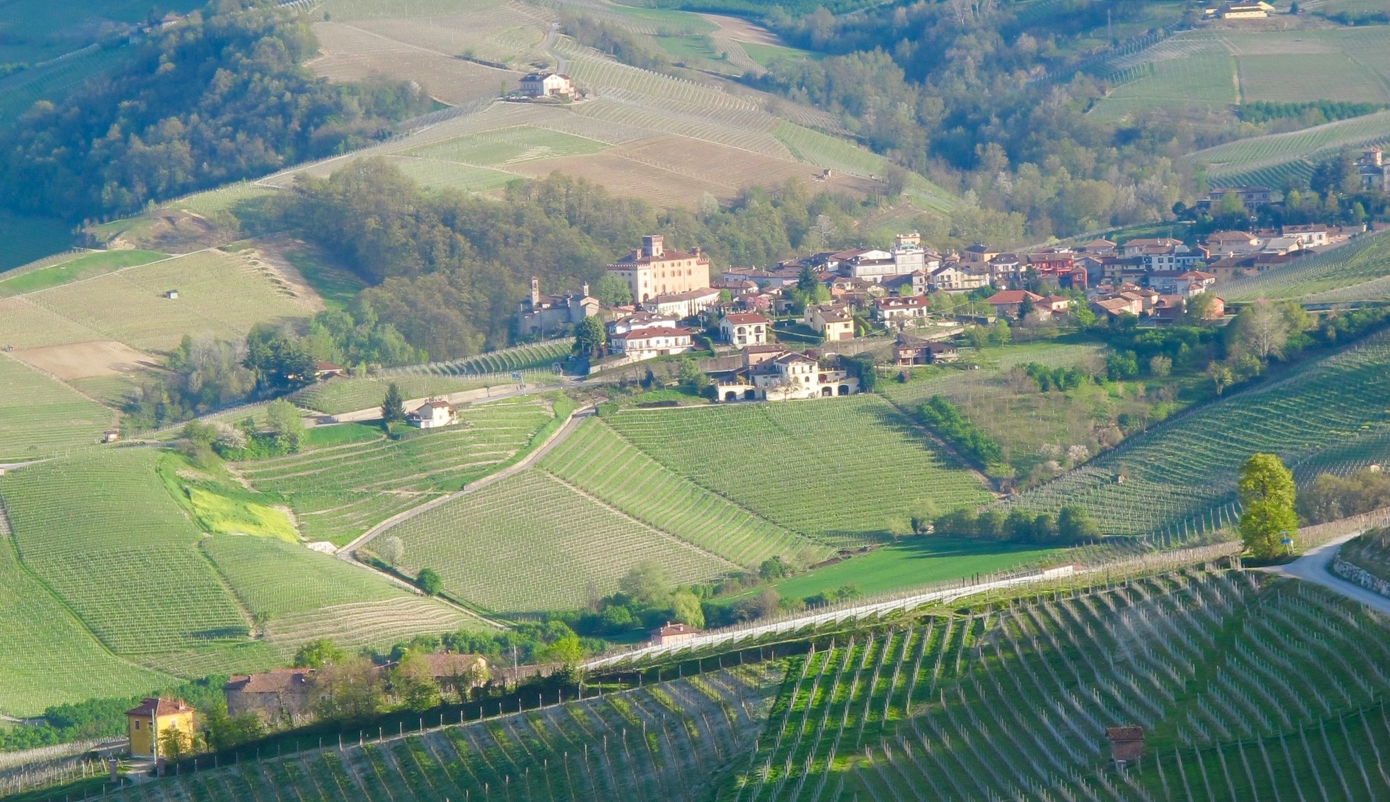 Bartolo Mascarello