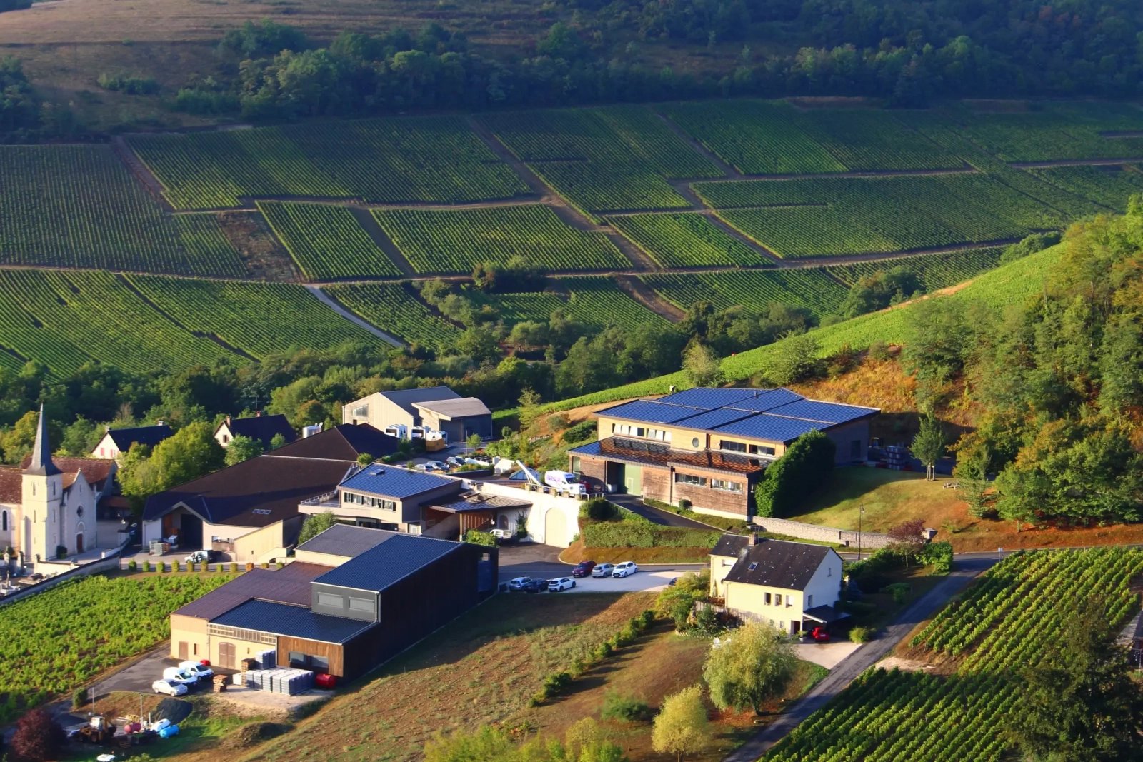 Domaine Henri Bourgeois