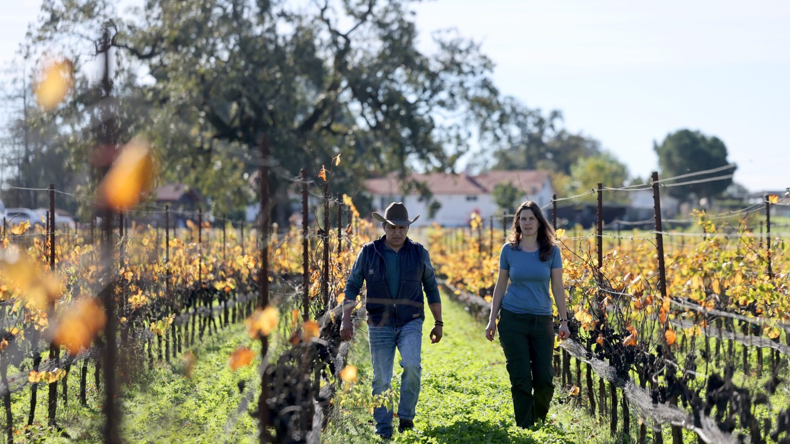 Tierra Roja Vineyards