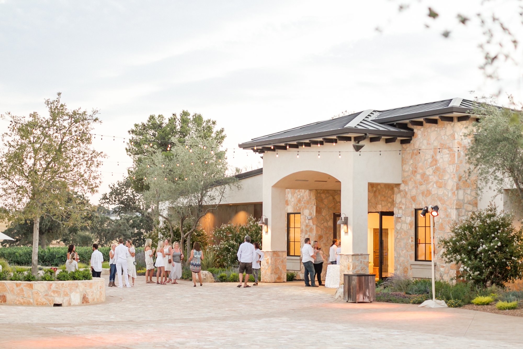 Rava Wines