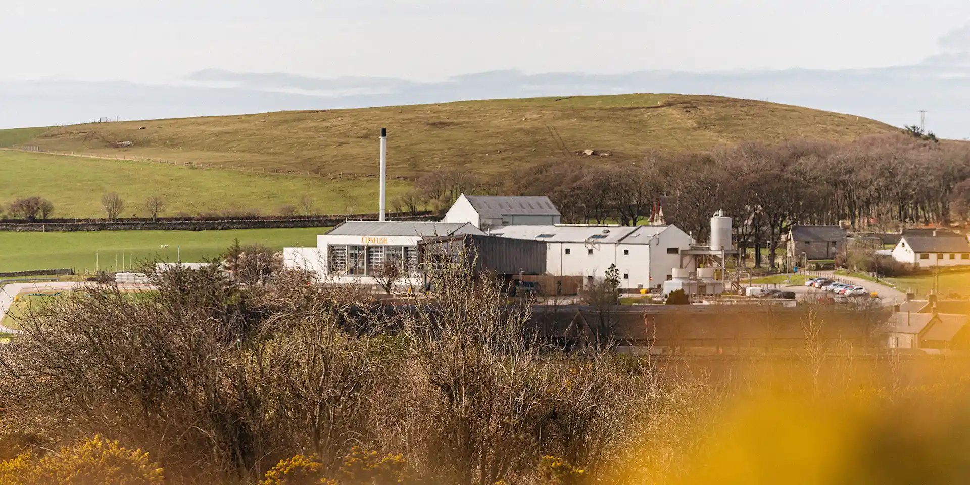 Condelli Distillery