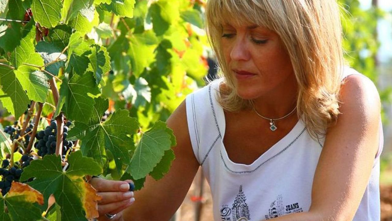 Claudia Papayianni Winery