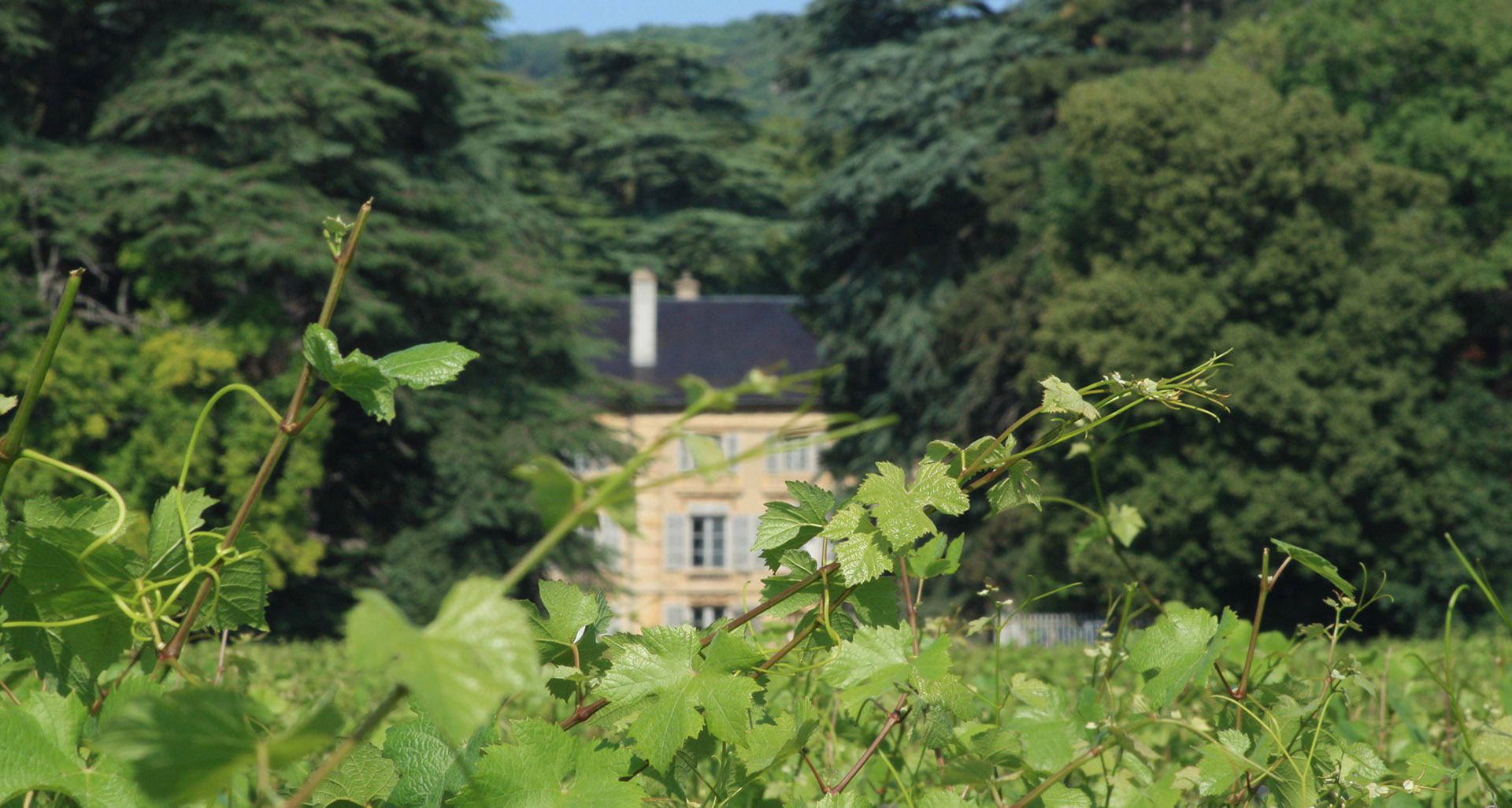 Domaine Henri Rebourseau