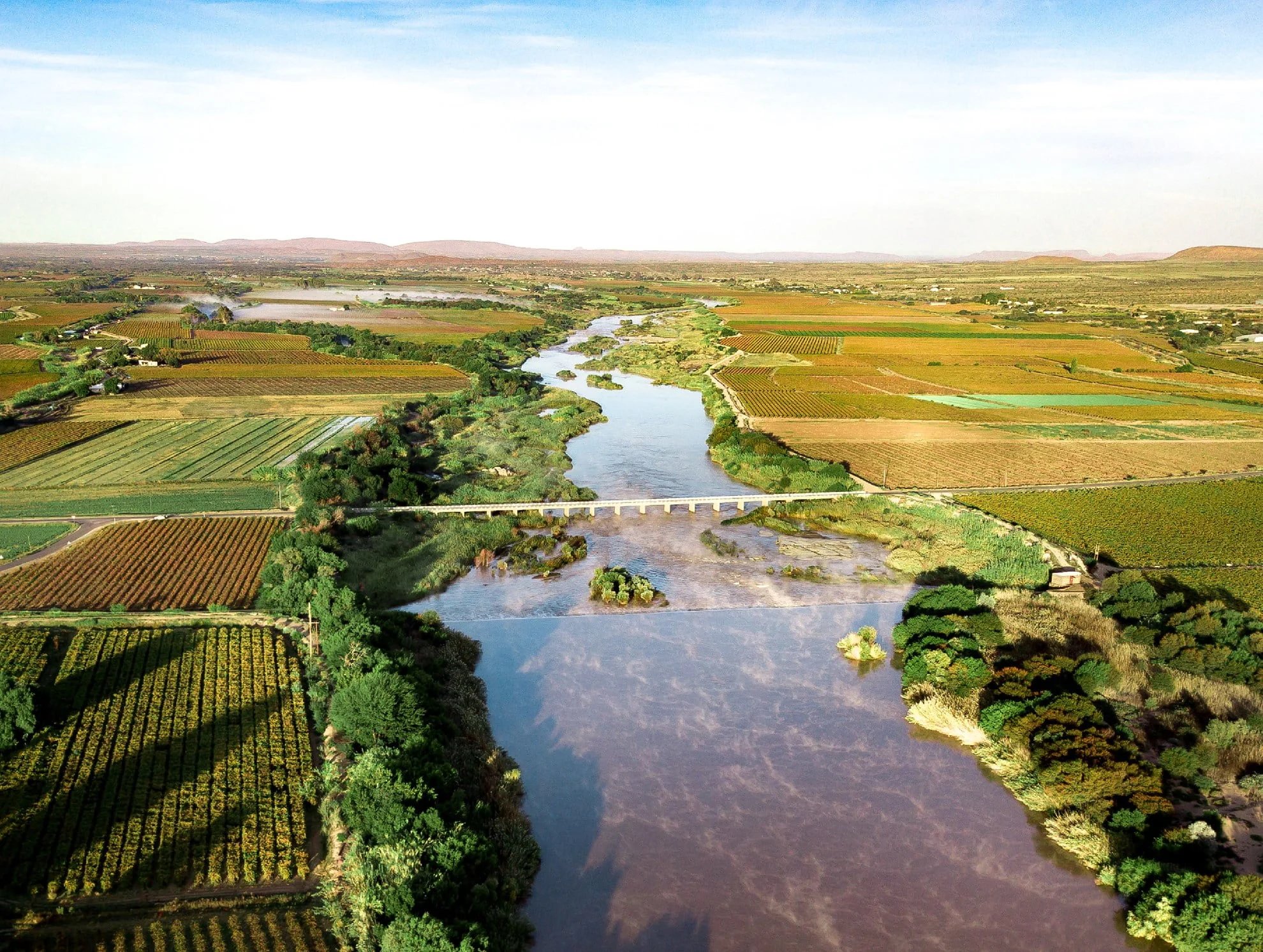 Orange River Cellars
