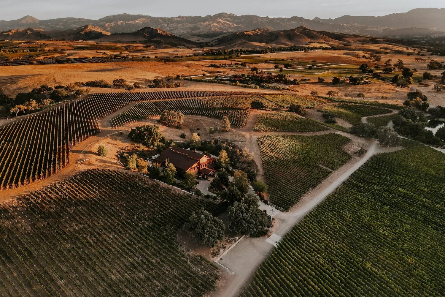 Grassini Family Vineyards