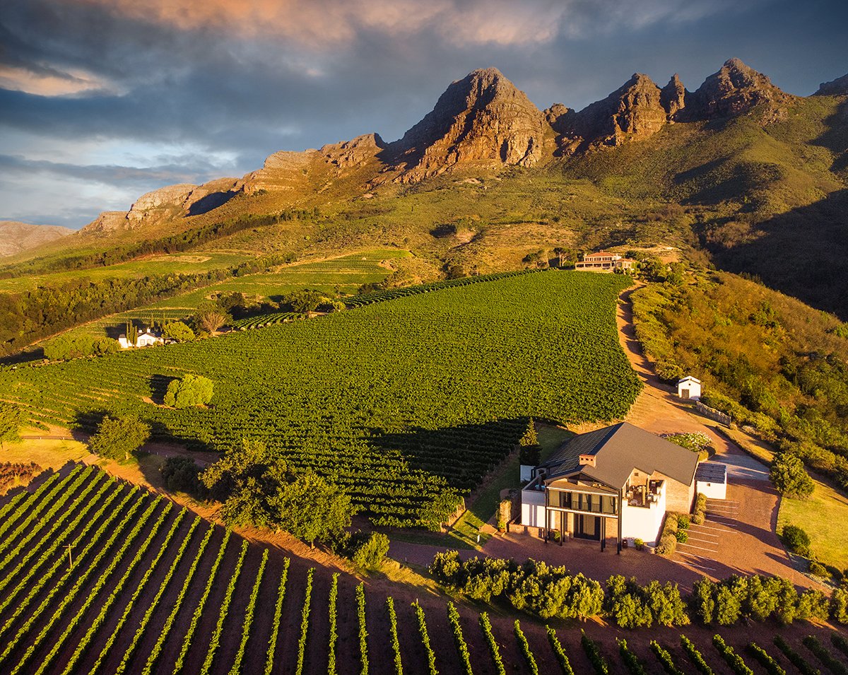 Uva Mira Mountain Vineyards