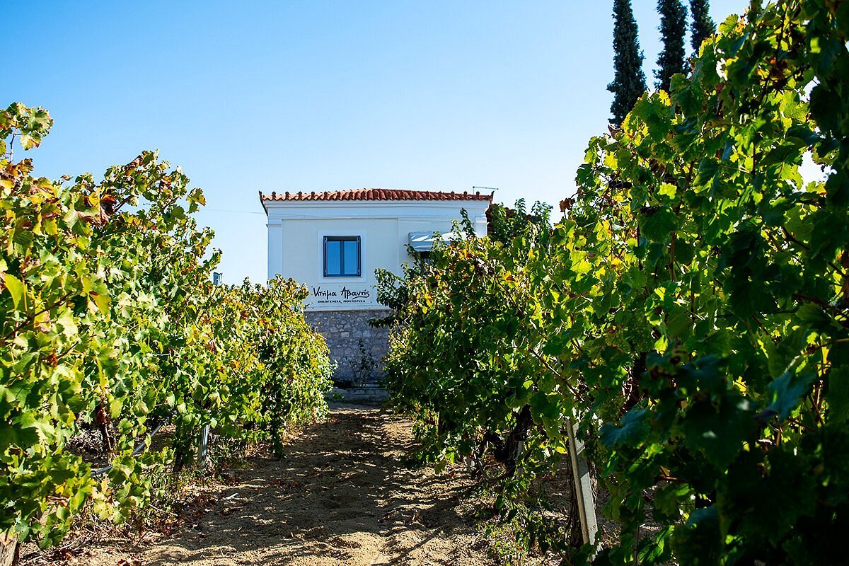 Avantis Estate
