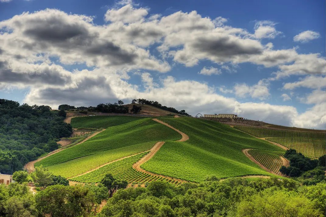 TOP Winery