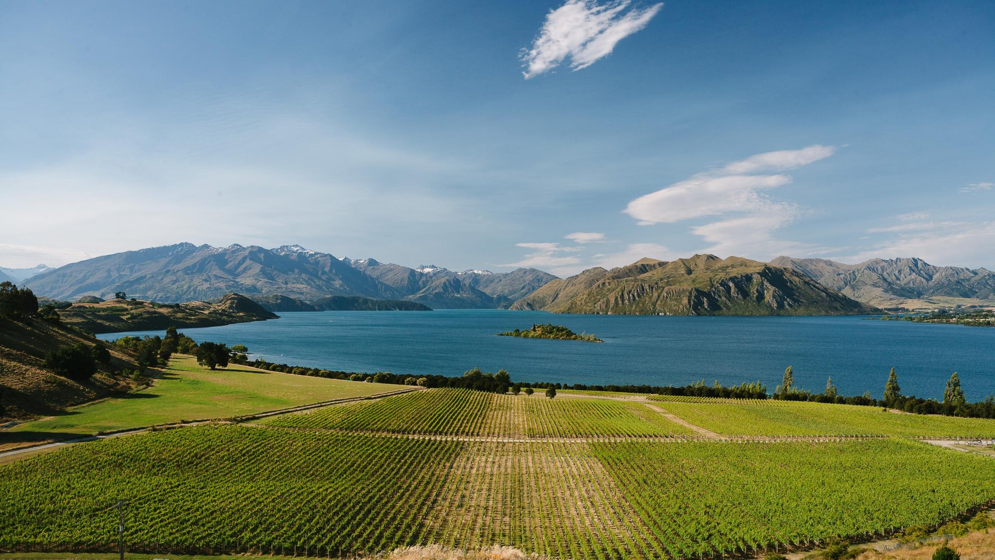 Rippon Vineyard |  | The En Primeur Club 